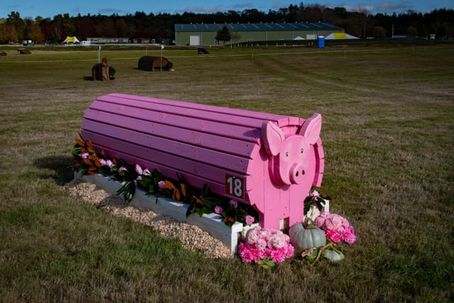 Pink Pig